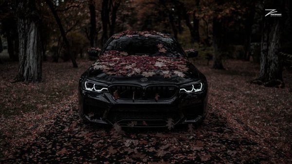 BMW f10 черный осень