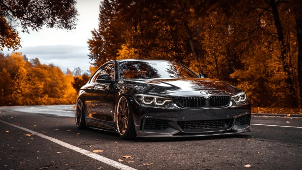 BMW f82 машина в лесу