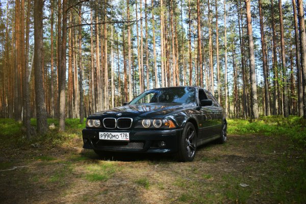 BMW e39 осень