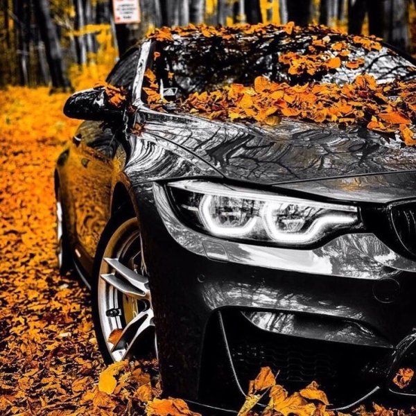 BMW e92 Black