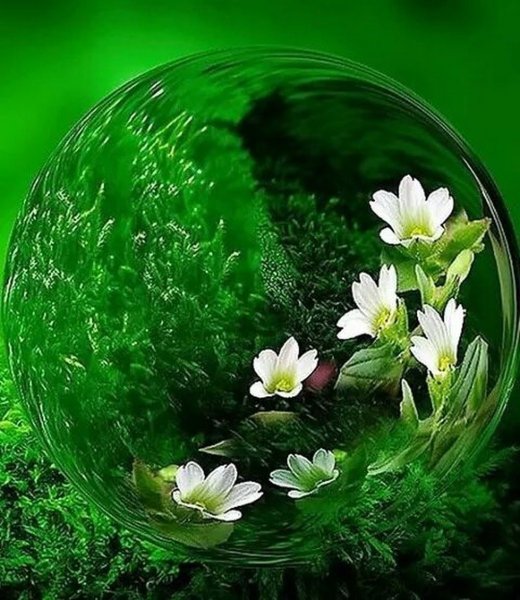 Удачного дня природа