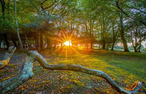 Необыкновенное утро