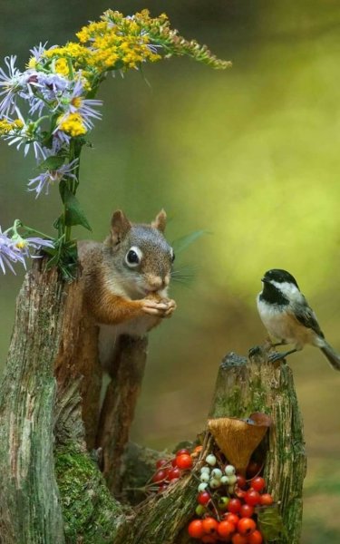 Обои настроение