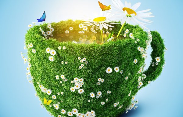 Картинки красивые необычные