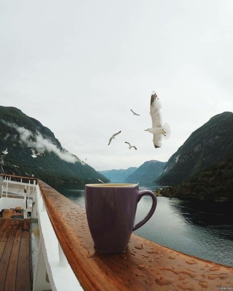 Добрый вечер красивые необычные природа