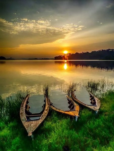 Доброе утро природа с надписью