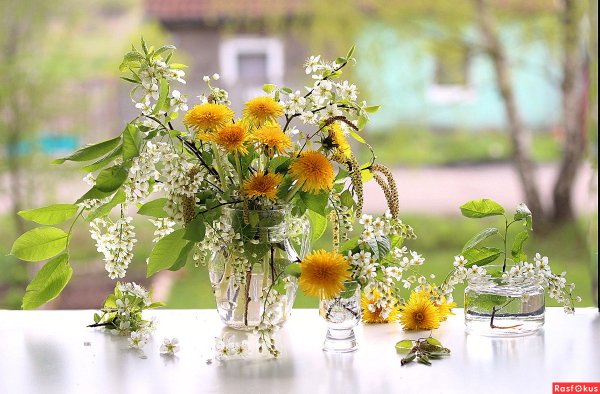 Прекрасный мир