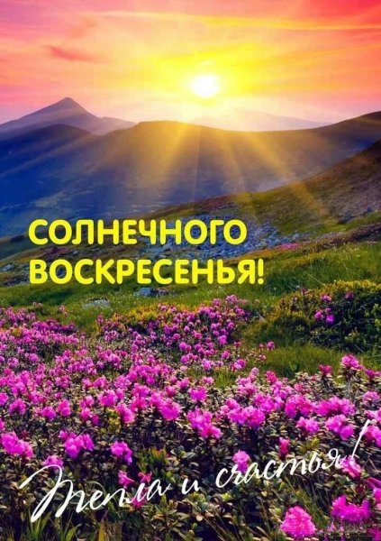 Утро лето