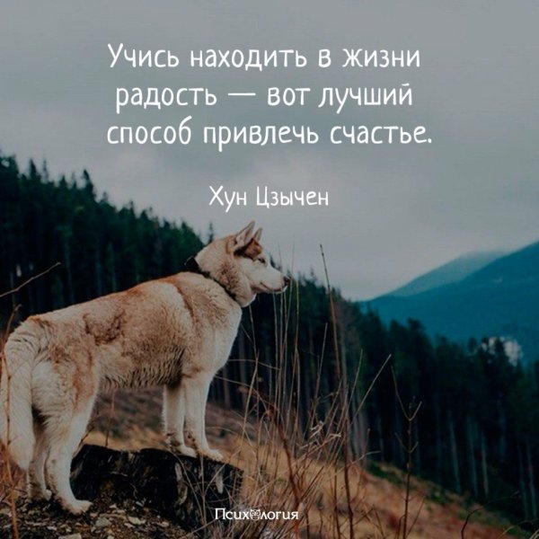 Афоризмы о радости жизни