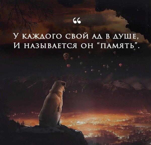 Красивые картинки на статус
