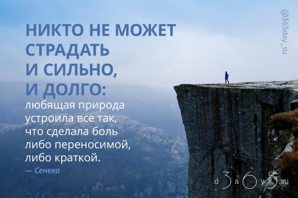 Медведь на фоне природы