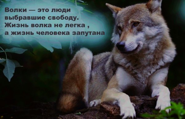 Волшебный день