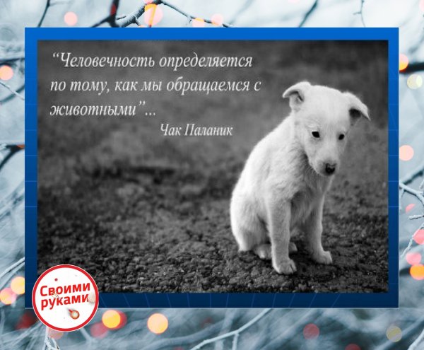 Доброе утро с птичками