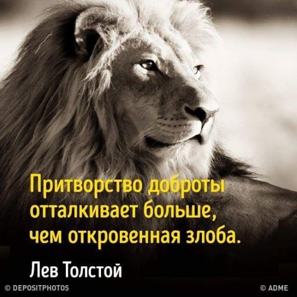 Смешные цитаты со смыслом
