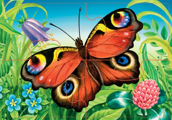 Яркое лето рисунок