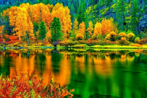 Яркая природа