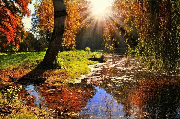 Природа осень