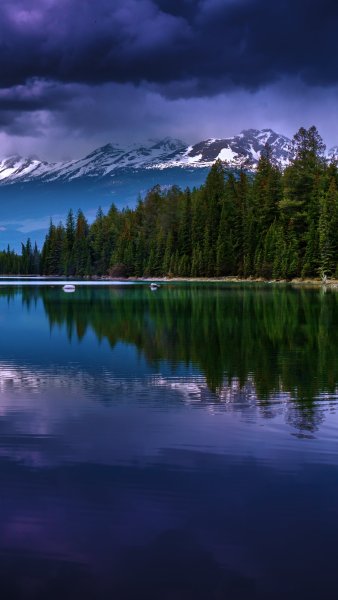 Живая природа