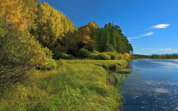 Река требна