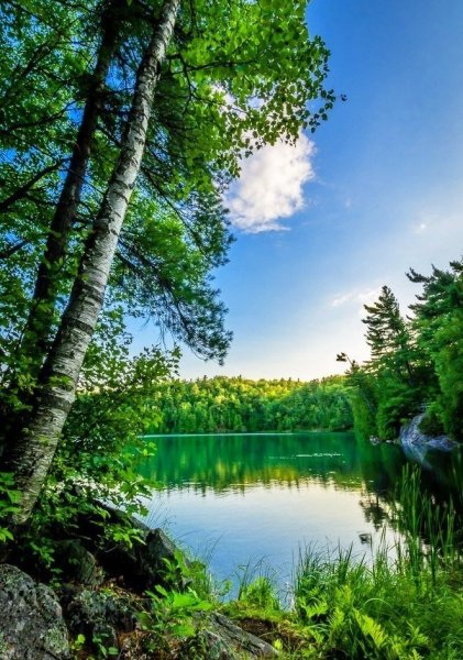 Водопад 4к
