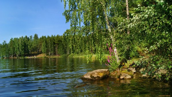 Волга река Березка