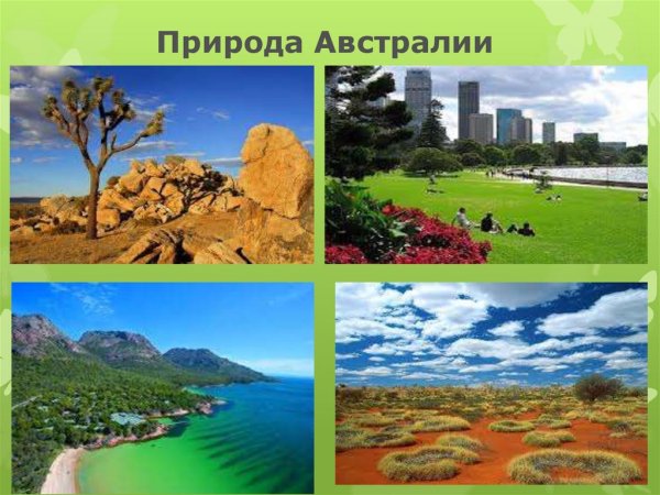 Австралия картина
