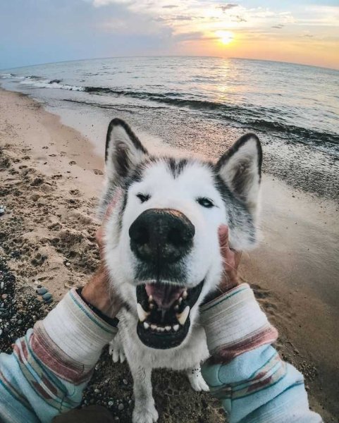 Девушка лето