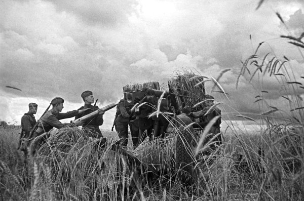 Курская дуга 1941-1945
