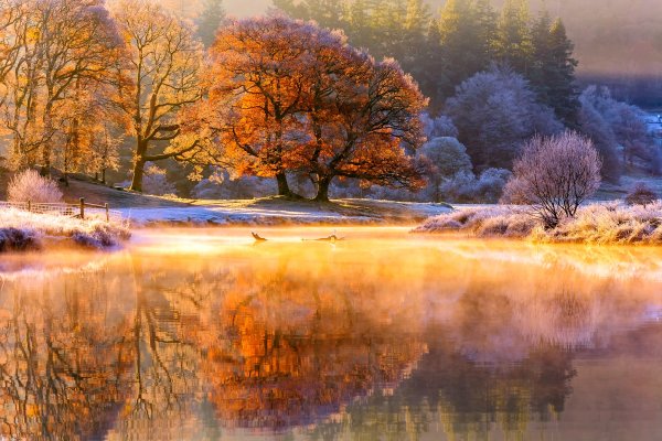 Картина природа