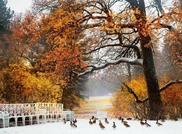 Красивая природа ноября