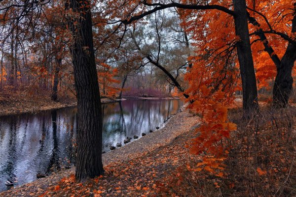 Осенний пейзаж