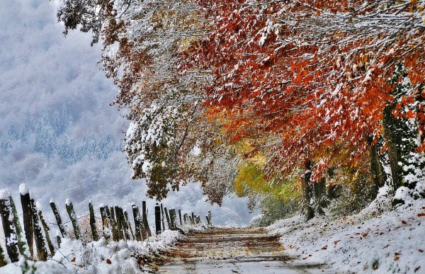 Осень снег