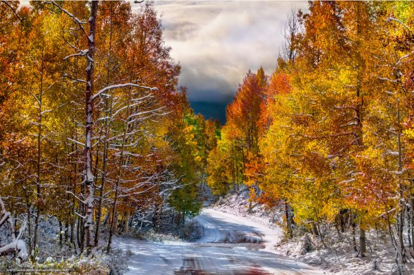Снежная осень
