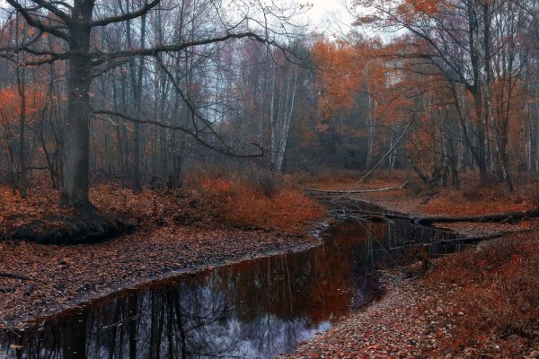 Поздняя осень пейзаж