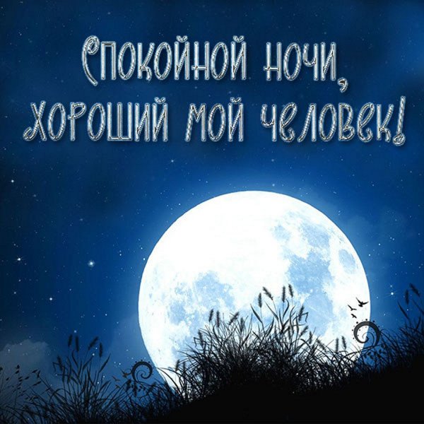 Доброй ночи летом