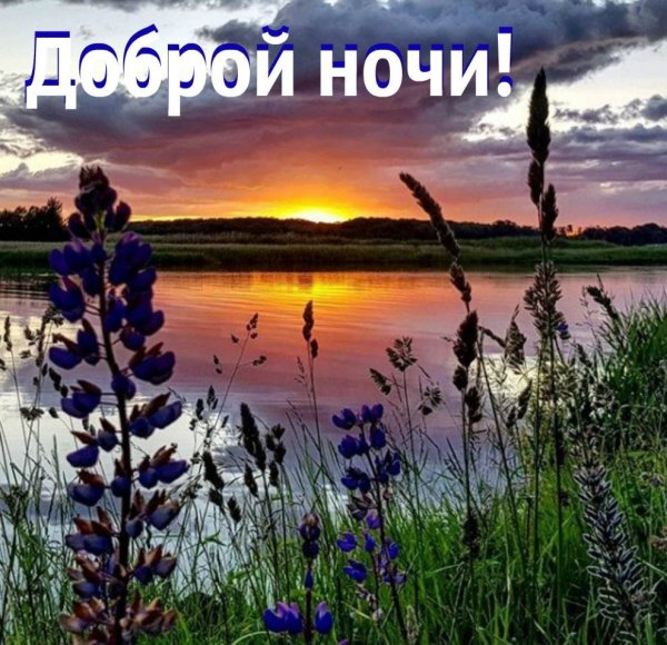 Спокойной благословенной ночи