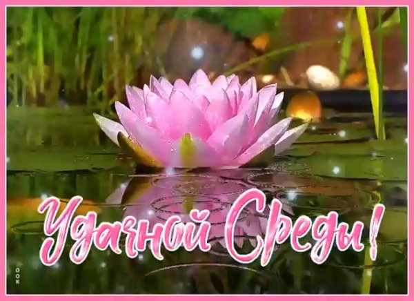 Удачного дня природа