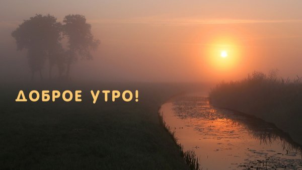 Доброе утро туман