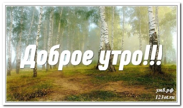 Стикер доброе утро с природой