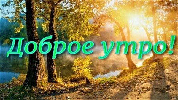 Доброе утро лес с надписью