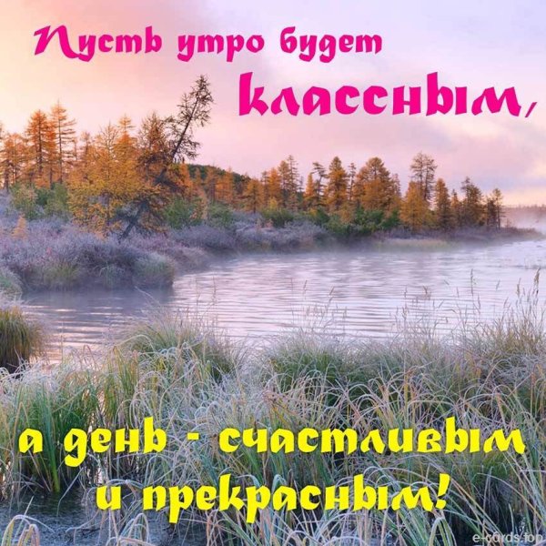 Красивые поздравления с добрым утром природа