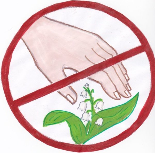 Плакат на тему берегите природу