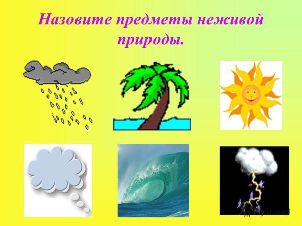 Живая и неживая природа для детей подготовительной группы