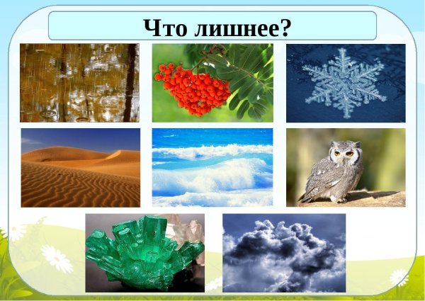 Неживая природа для дошкольников