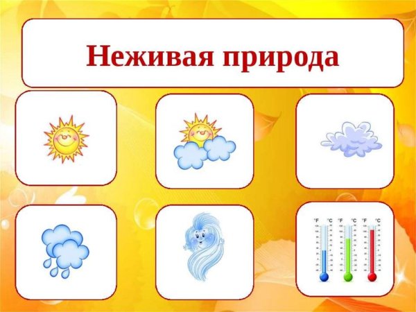 Живая и неживая природа для дошкольников