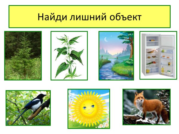 Живая неживая природа и рукотворный мир