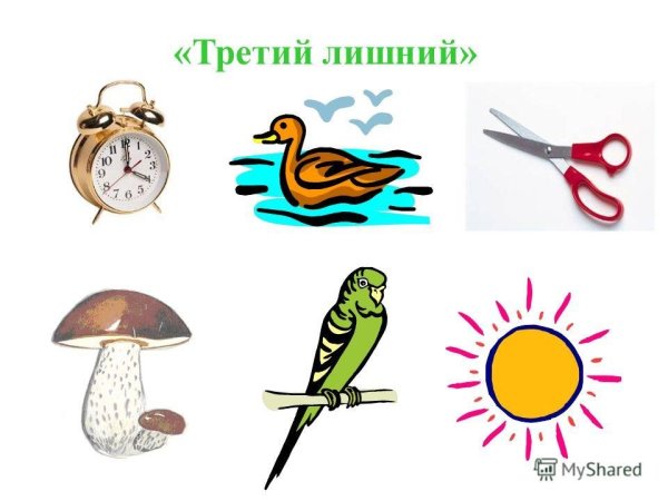 Лото Живая и неживая природа для дошкольников