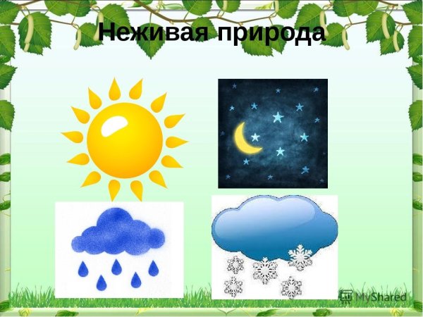 Неживая природа для дошкольников