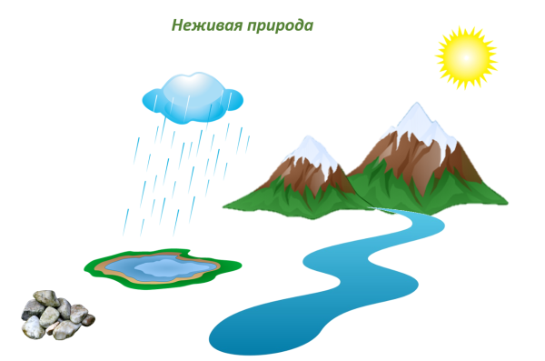 Плакат Живая и неживая природа осенью