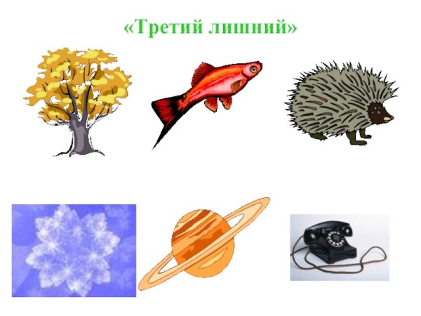 Плакат Живая и неживая природа